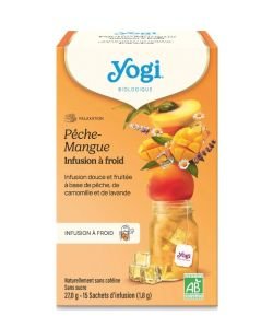 Infusions à froid pêche mangue BIO, 15&nbsp;sachets